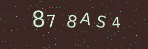 Validation image