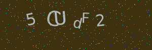 Validation image