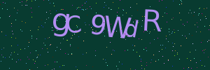 Validation image