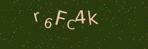 Validation image