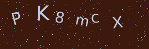 Validation image