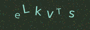 Validation image