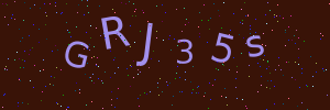Validation image