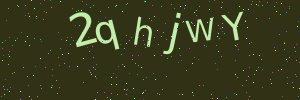 Validation image