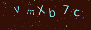 Validation image