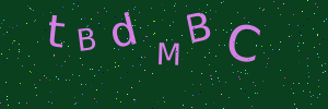 Validation image