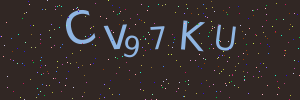 Validation image