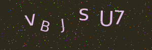 Validation image
