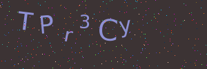 Validation image