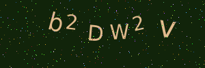 Validation image