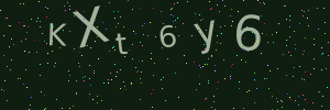 Validation image