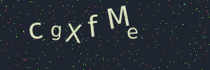 Validation image